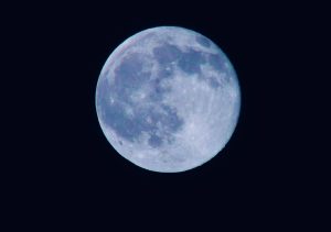 unnamed file 1 scaled