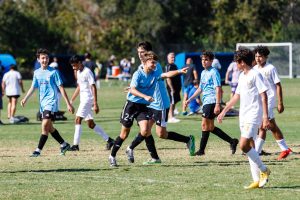 unnamed file 16 scaled