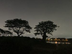 unnamed file 6 scaled