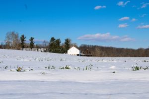 unnamed file 7 scaled