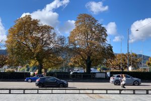 Oldtimer beobachten in der Stadt (Oldtimer Blogartikel du 24.10