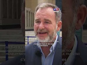 (créteil): 😯 À Paris, plusieurs pépites d’or dérobées au Muséum d’histoire naturelle|TF1 INFO