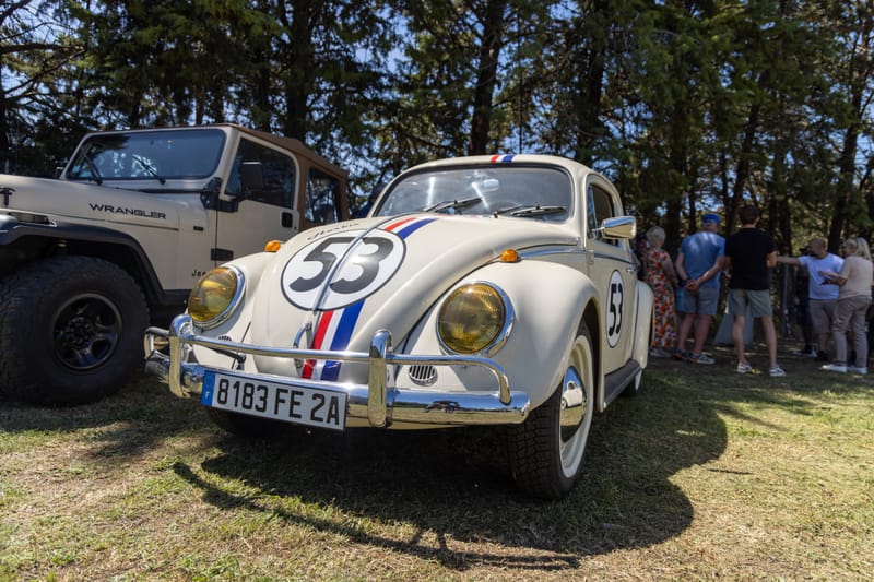Les célèbres Coccinelles.